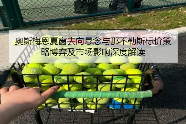 奥斯梅恩夏窗去向悬念与那不勒斯标价策略博弈及市场影响深度解读 - kaiyun